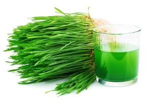 Wheat Grass with Juice (1)