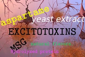 excitotoxins