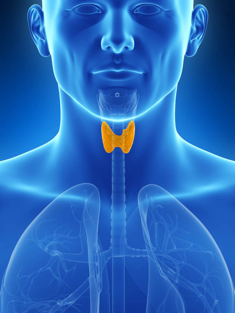 甲状腺に影響を与える毒素と放射性物質から自分を守る方法
